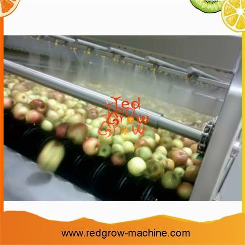 Apple Juice Processing Machine