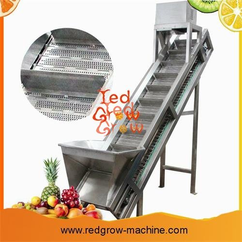 Belt Conveyor Machine for Fruit and Vegetable Processing Line