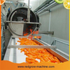 Carrots Washer Machine