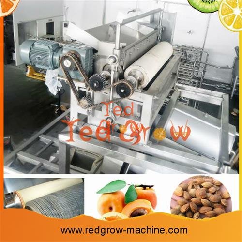 Peach Apricot Plum Fruit Processing Machine