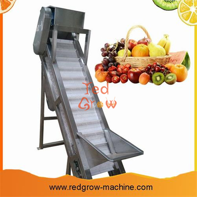 Plastic Engineering Scraper Lifting Conveyor for fruit and vegetable processing machine