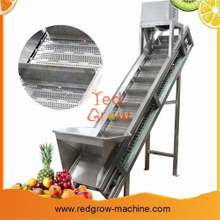 Lifting Conveyor Machine For Fruit And Vegetable Processing Line