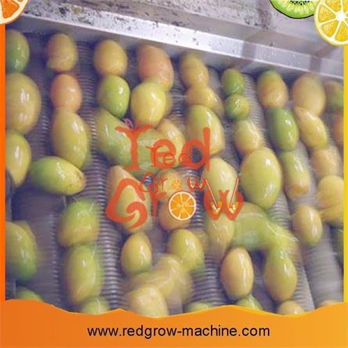 Mango Processing Machine