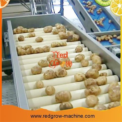 Potato Processing Machine