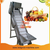 Engineering Plastic Scraper Lifting Conveyor Machine for Fruit and Vegetable