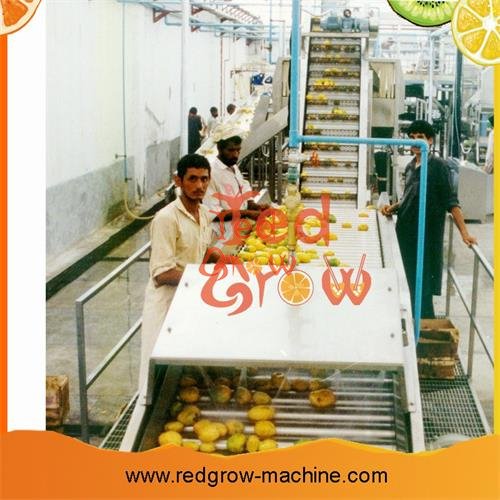 Engineering Plastic Scraper Lifting Conveyor Machine for Fruit and Vegetable
