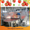 Tomato Processing Machine
